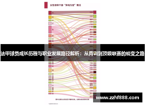 法甲球员成长历程与职业发展路径解析：从青训到顶级联赛的蜕变之路