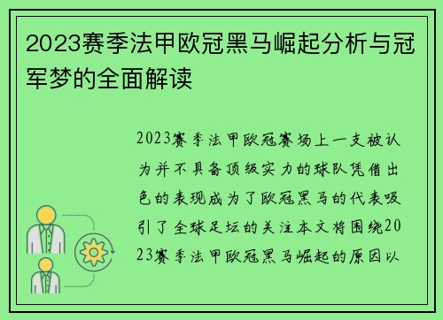 2023赛季法甲欧冠黑马崛起分析与冠军梦的全面解读