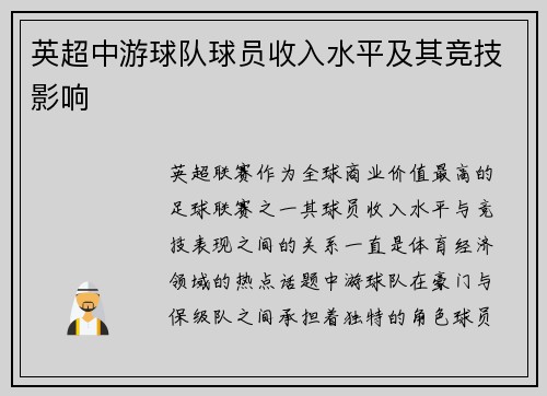 英超中游球队球员收入水平及其竞技影响